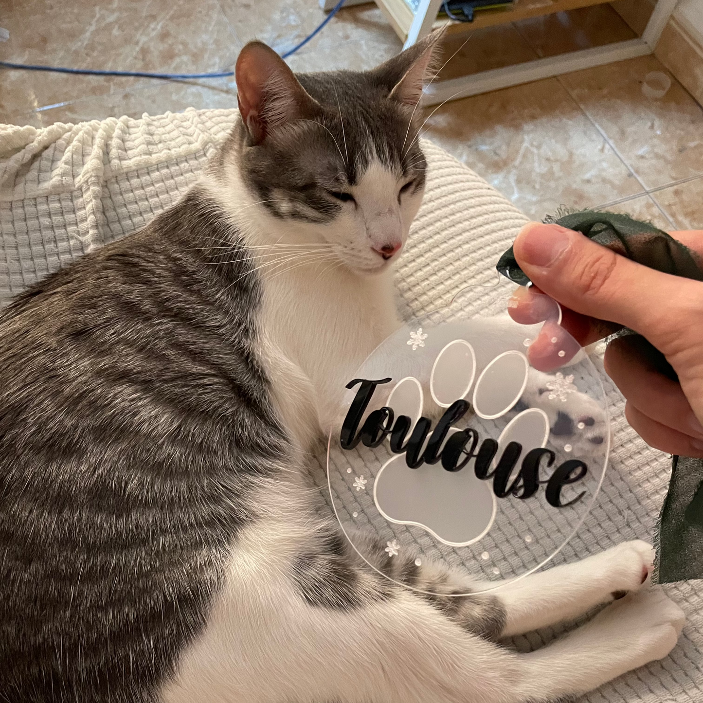 Bola de Navidad Personalizada para tu Mascota con Nombre